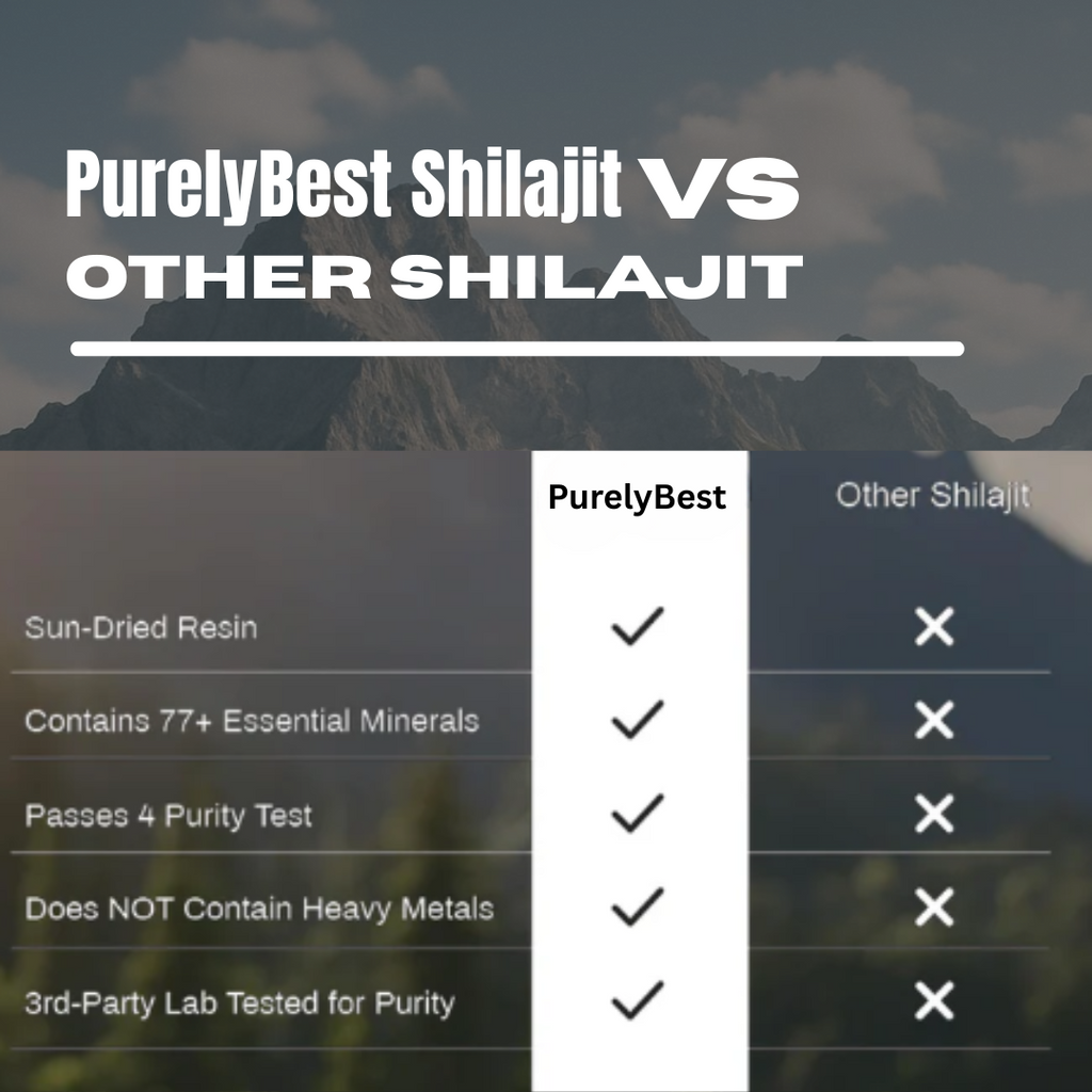 PurelyBest Shilajit – 100% Himalayan Strength