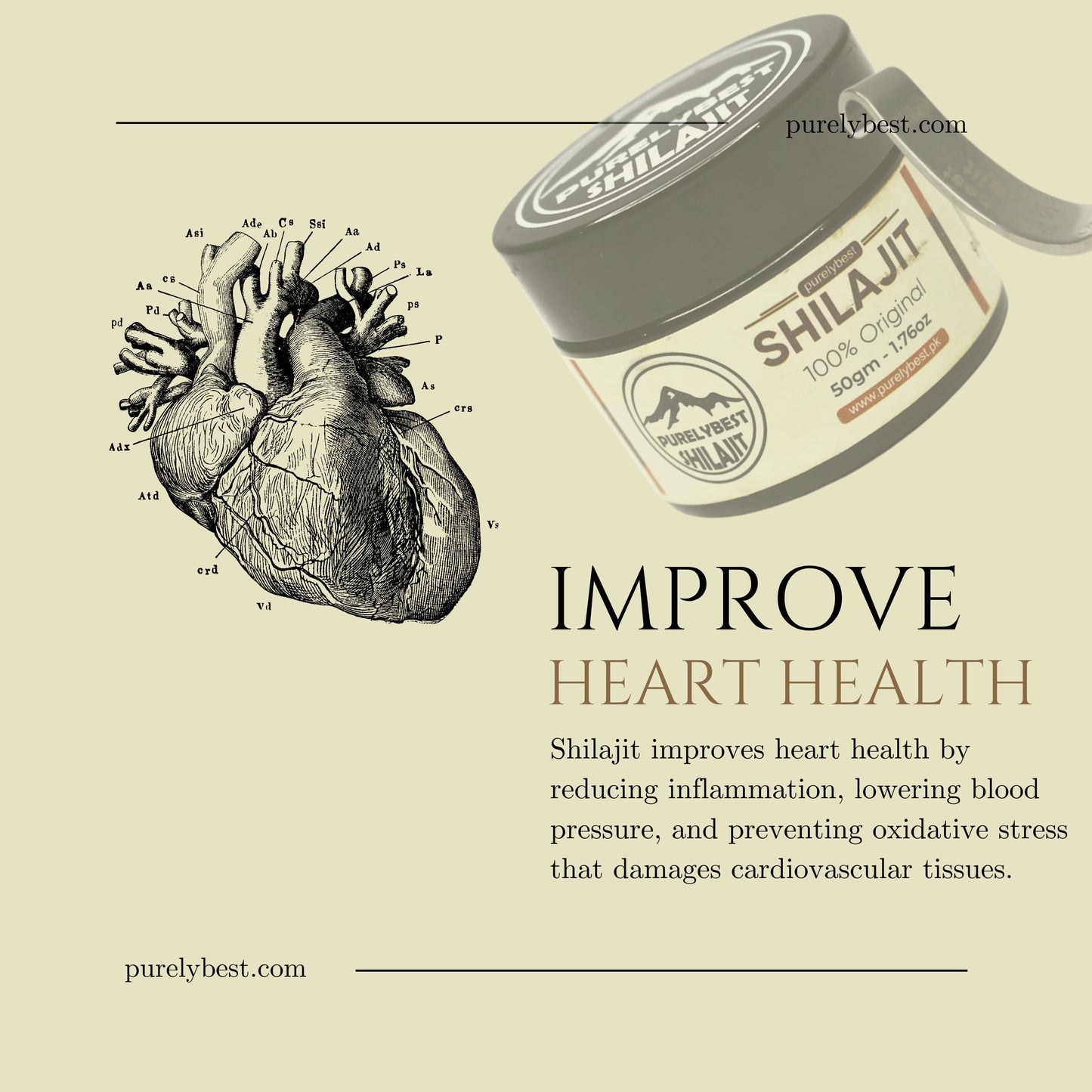 PurelyBest Shilajit (New Packaging)