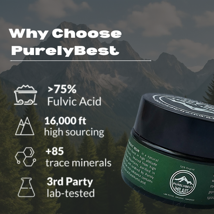 PurelyBest Shilajit – 100% Himalayan Strength